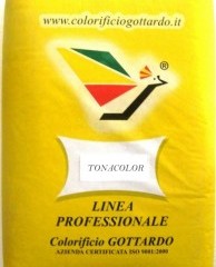 TONACOLOR (INTONACO COLORATO)